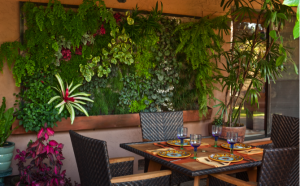 Dining living wall